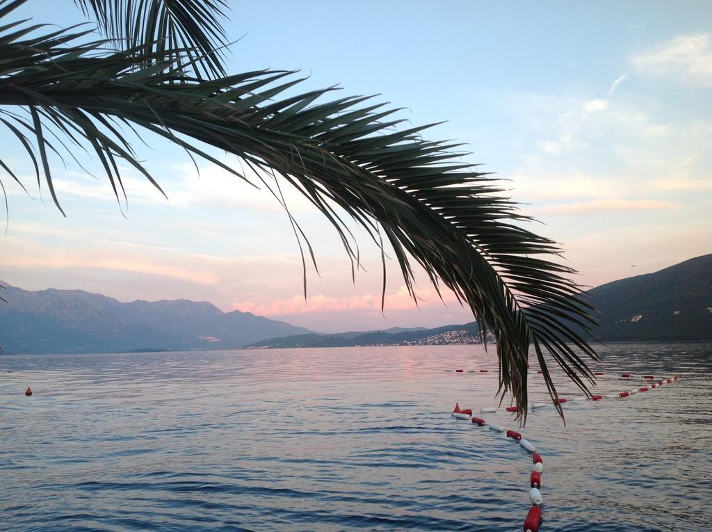 Villa Alla Bed And Breakfast Herceg Novi Exterior foto